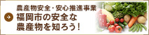 福岡市の安全な農産物を知ろう！